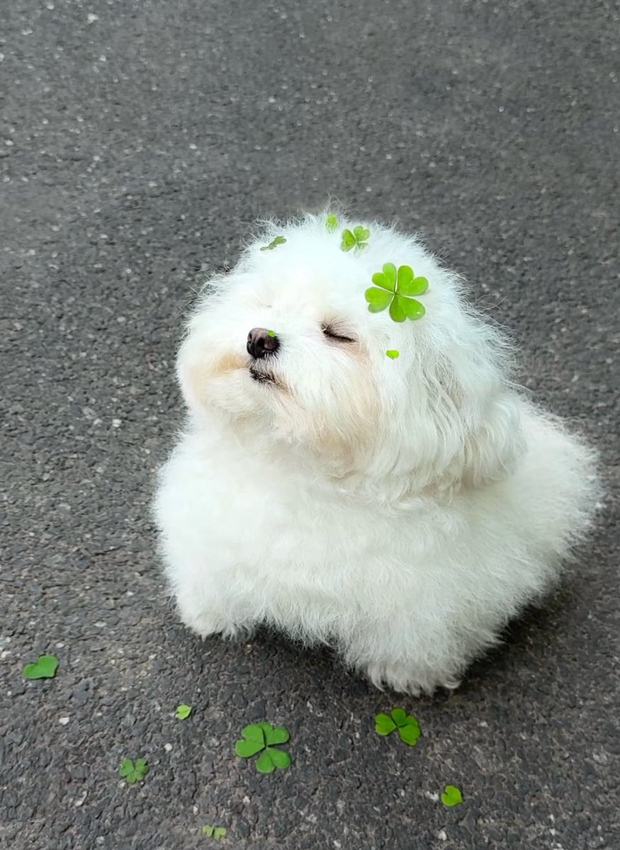 twaniimals's tweet photo. https://t.co/DFDz0WuG9U