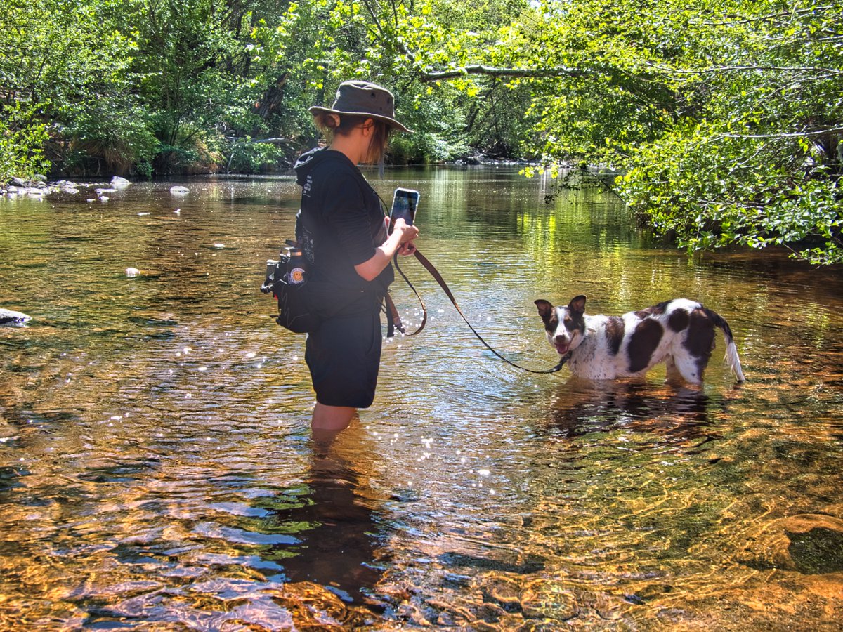 davidhanley72's tweet image. Finally made it to the crack at wet beaver creek. Perfect day for a canyon hike that leads to a five-star swimming hole. Perfect hiking companions, @notalexiss__ and @jordan.platt.313. About 4 miles from the overflow lot to the crack. Even got to see some incredible petroglyphs…