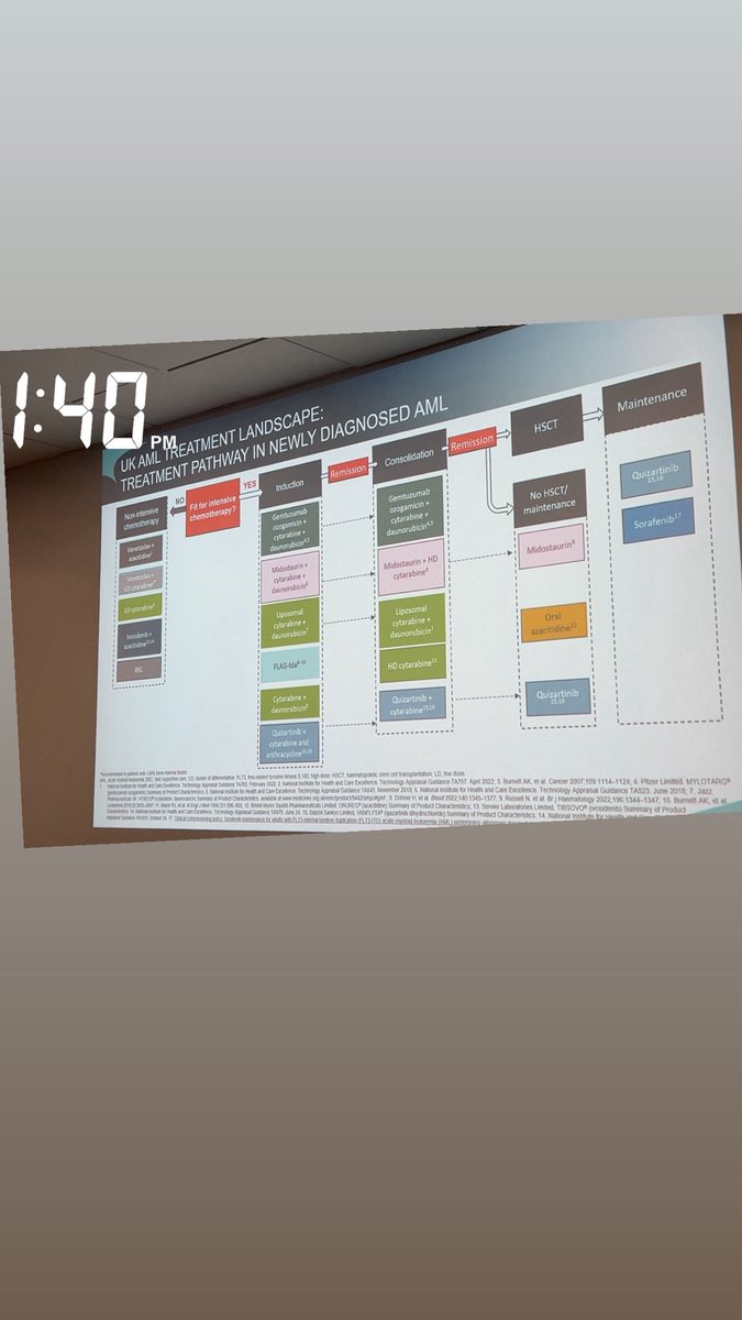 Maryam Halawi tweet media