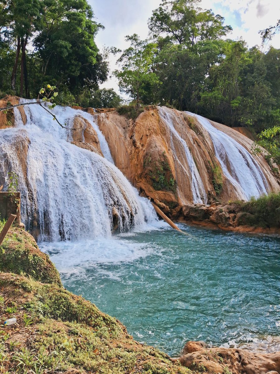 OTCSA's tweet photo. Visita cascadas de Misol-ha y Agua Azul, salidas diarias desde hotel en Palenque, reservaciones al 916 126 7735... ¡Que paso esperas!
https://t.co/UPM0zGvbgQ https://t.co/q8ODaFwsEH