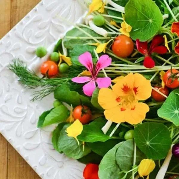 Pasquesis's tweet image. No need to separate the edible flowers or herbs from your perennial garden. In many instances, you can weave a beautiful &amp;amp; tasty tapestry by combining them in your landscape. 10 edible plants at pasquesi.com/adding-edible-… #edible #flowers #vegetables #organicvegetables