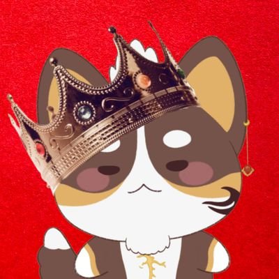 YoBippo 🇨🇺 🐶💫 tweet media