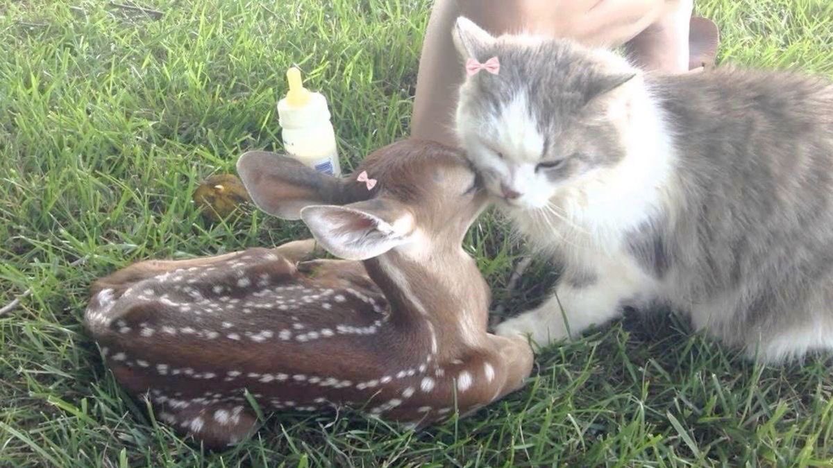 gal౨ৎ (@prtygal777) on Twitter photo 