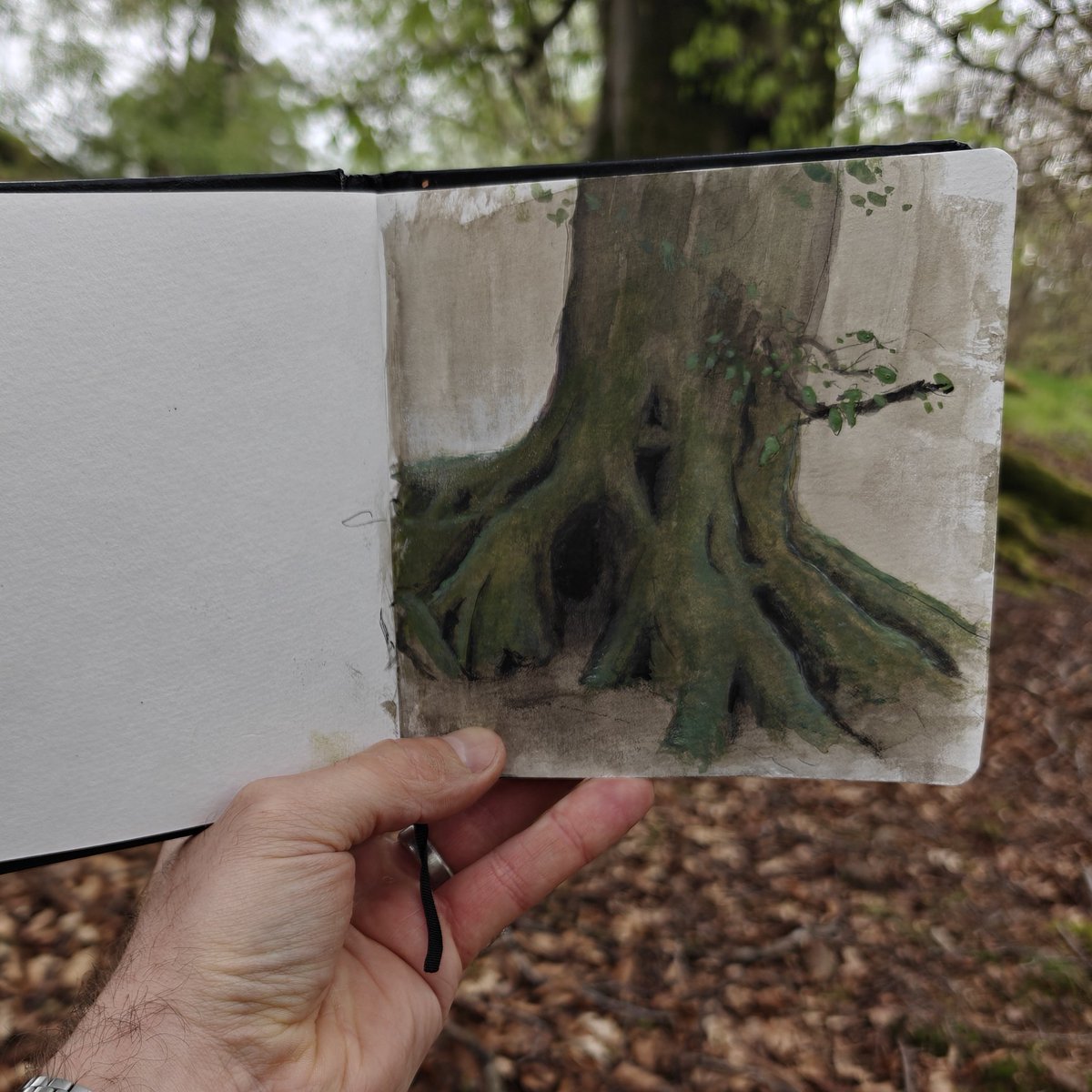 Sketching... #watercolour