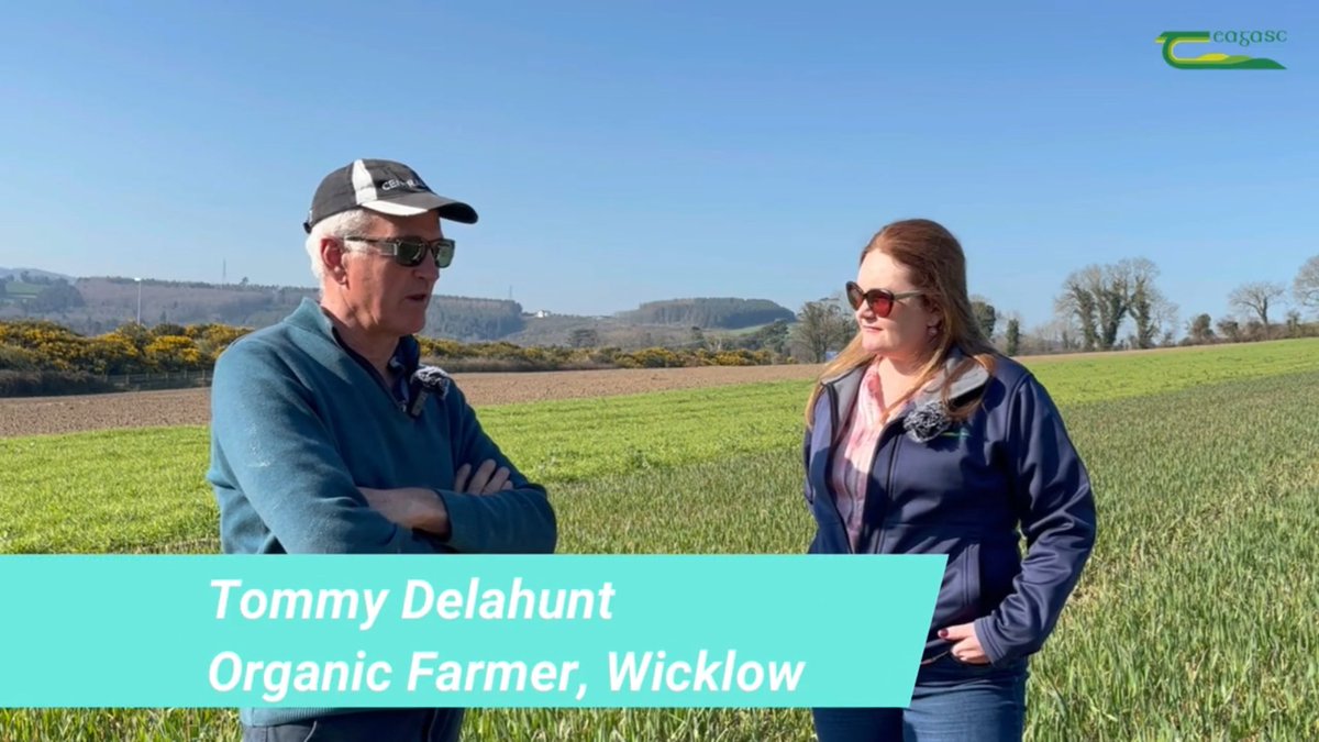 Our Growing Organic farmers recorded a series of videos this spring to tell us about their journey into organics and to update us on their plans for the year ahead. We will be posting these videos here over the coming days. First up is Tommy Delahunt youtu.be/KsNYAByafgs