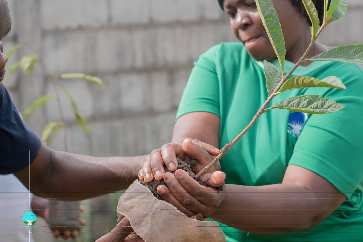ManicaYouth's tweet photo. In our dedication to #environmentalstewardship, we partnered with the Mothers Rebellion   to plant trees in Sakubva. For every tree you use, we commit to planting  10 more. Together, let's work towards conserving and replenishing our environment for future generations! https://t.co/QT2NbIKCL7