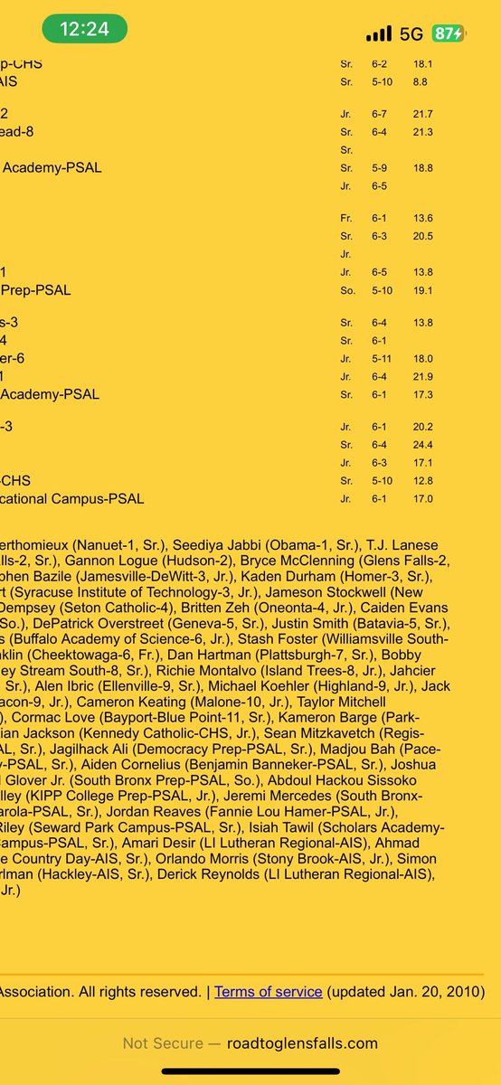 I am honored to earn NYS Honorable Mention All State in Basketball