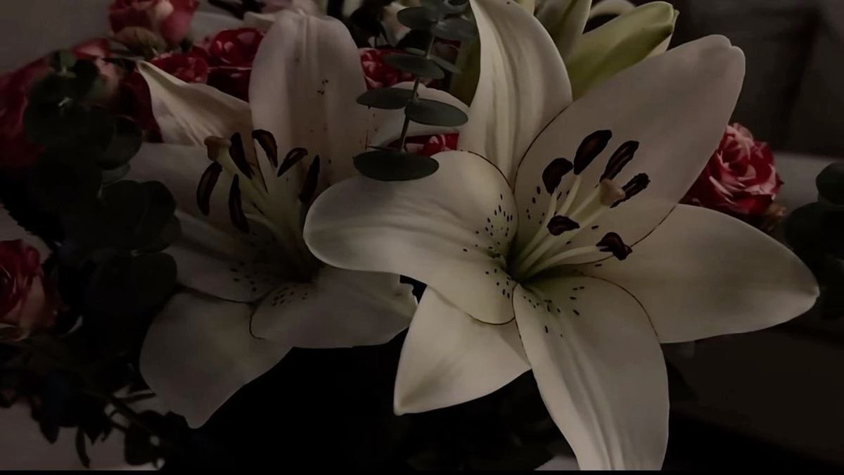Lilies