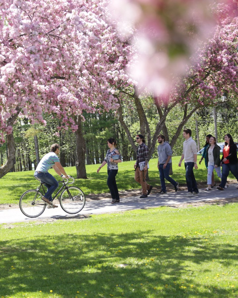 Trent University tweet media