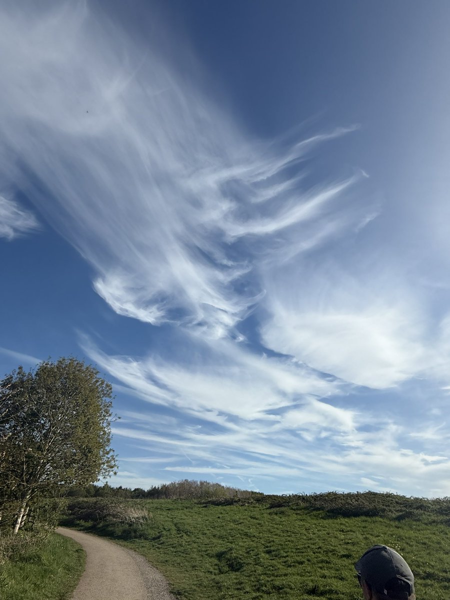 Dylan Vining tweet media