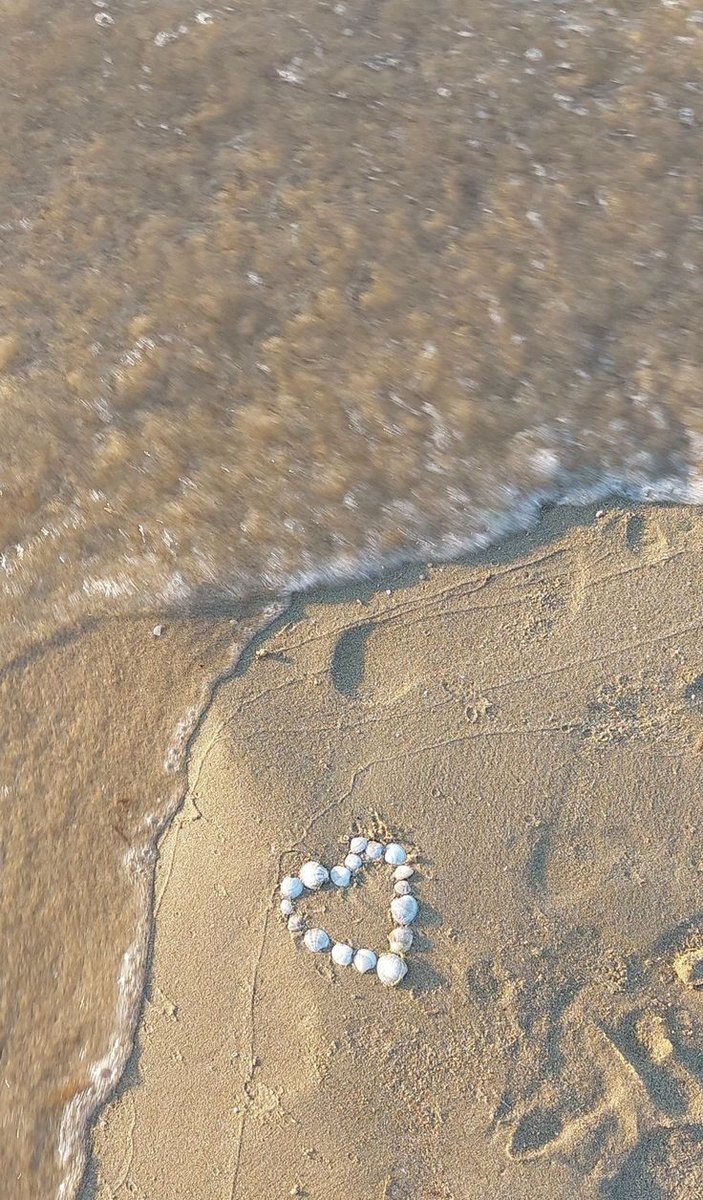 softdeIicacy's tweet image. summer vibes 🐚🪸🫧