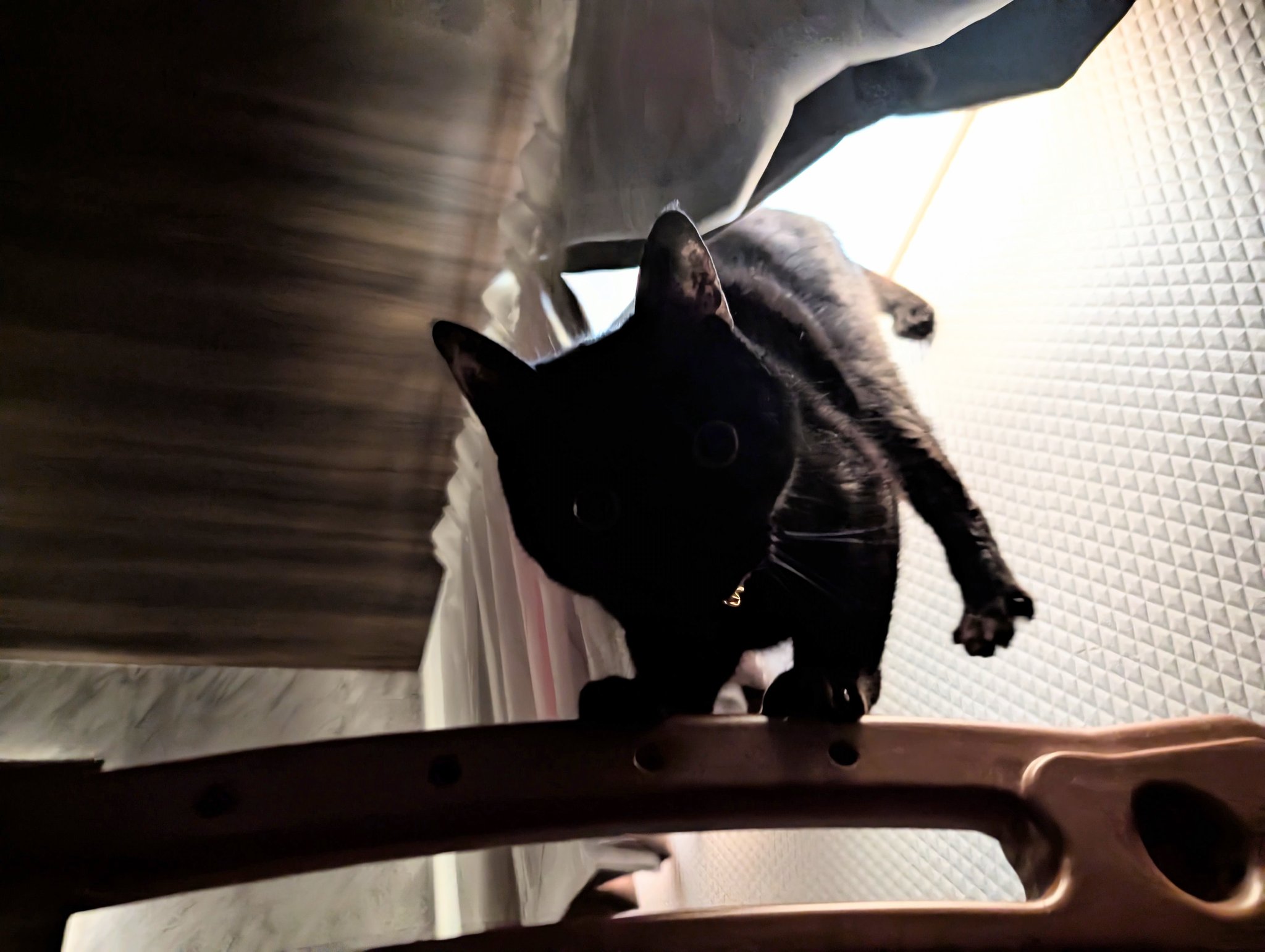 黒猫お支払い① 黒猫 on X: 