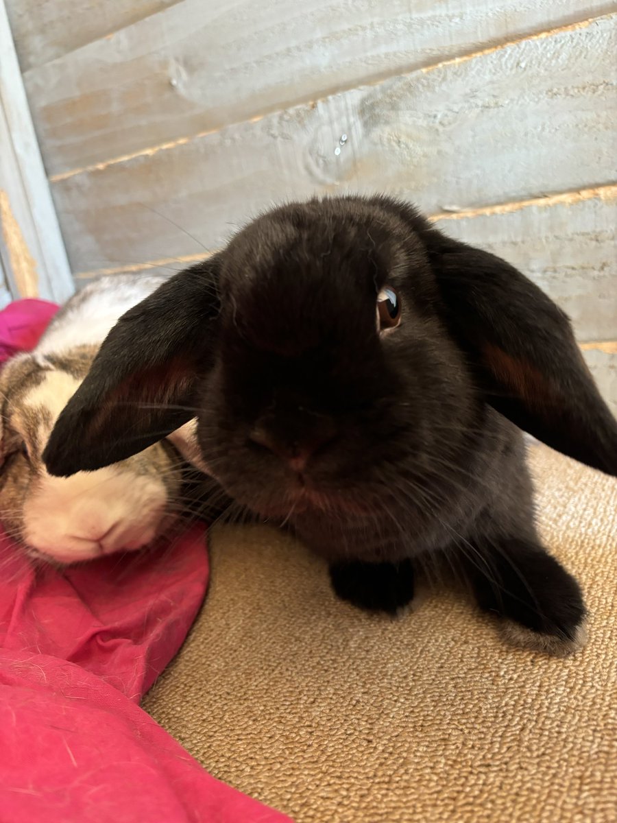 Would you help a small charity raise our profile on X with a follow and a share? ❤️