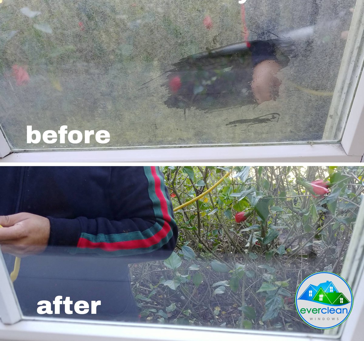 evercleanwindow's tweet photo. When windows stay mostly in the shade, mildew can build up over time — leaving them cloudy, dirty, and hard to see through. Let us bring back the sparkle! Call us today to make your windows crystal clear again. 407-490-5484 https://t.co/Dn6Rzl626U