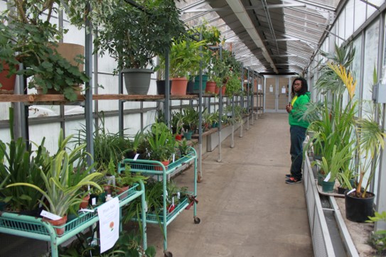 Kent State Sustainability tweet media