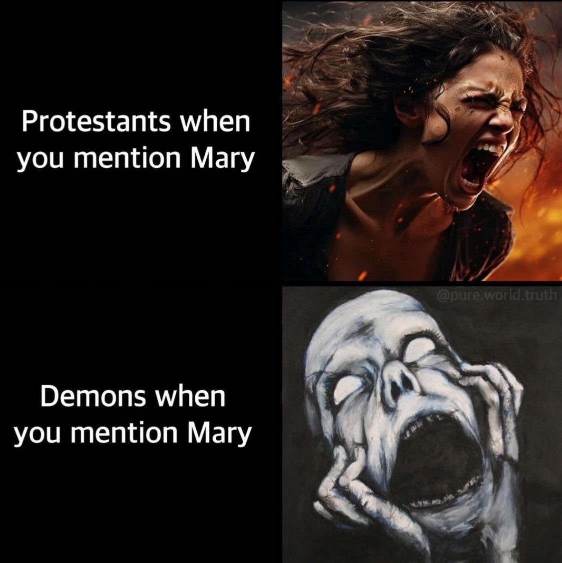 Amelia Bee 🌹 tweet media