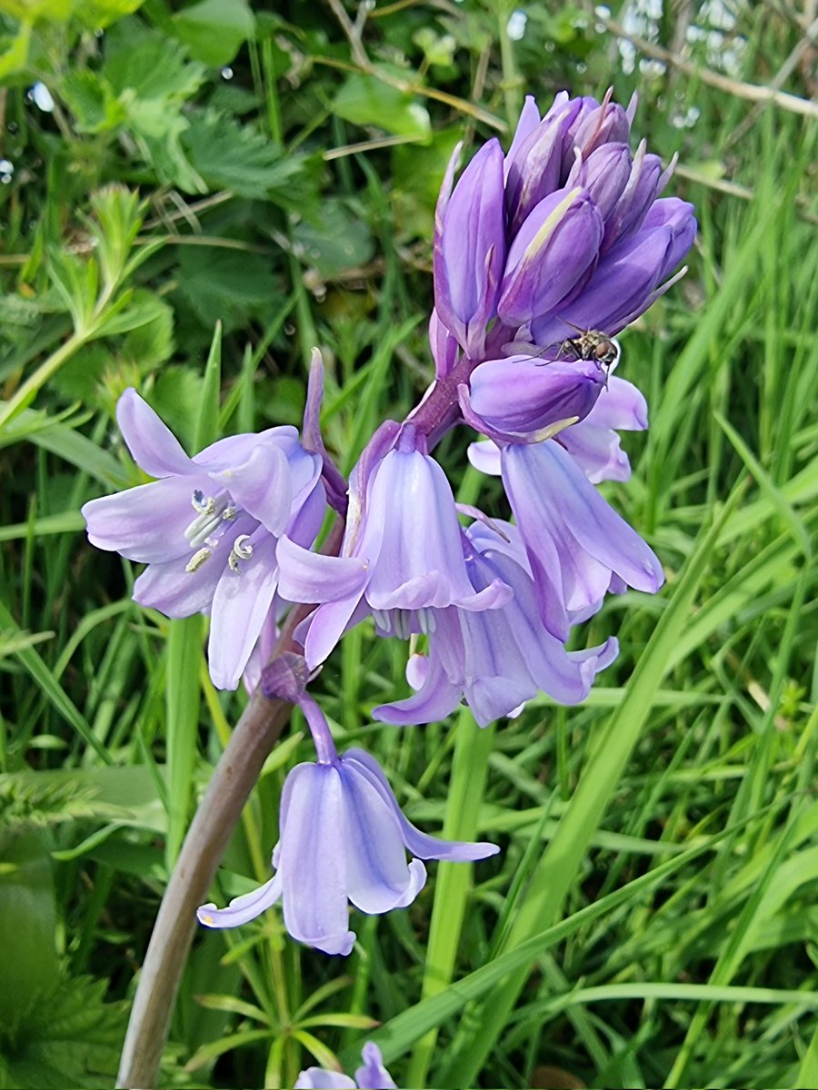 respecting nature tweet media