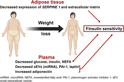 Diabetes Care, a research journal of the ADA 🌟 (@diabetescareada) on Twitter photo Altered adipose tissue, plasma PAI-1, leptin, adiponectin, and extracellular vesicles likely contribute to increased insulin sensitivity after weight loss in people with obesity and type 2 diabetes. <a href="/ADA_Pubs/">ADA Professional Publications</a>
Read Here➡️ diabetesjournals.org/care/lookup/do… Altered adipose tissue, plasma PAI-1, leptin, adiponectin, and extracellular vesicles likely contribute to increased insulin sensitivity after weight loss in people with obesity and type 2 diabetes. <a href="/ADA_Pubs/">ADA Professional Publications</a>
Read Here➡️ diabetesjournals.org/care/lookup/do…