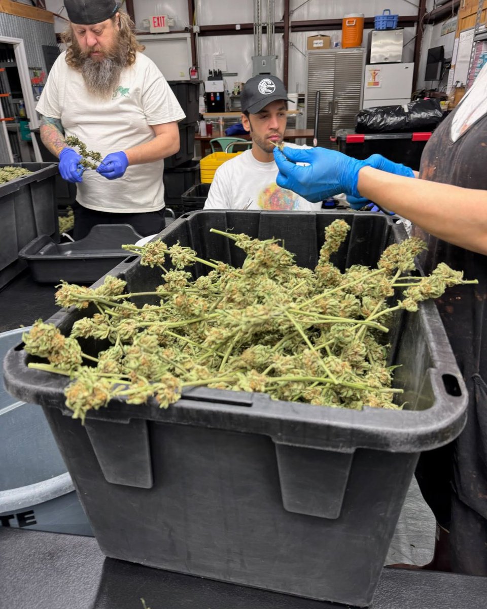 Holy City Farms tweet media