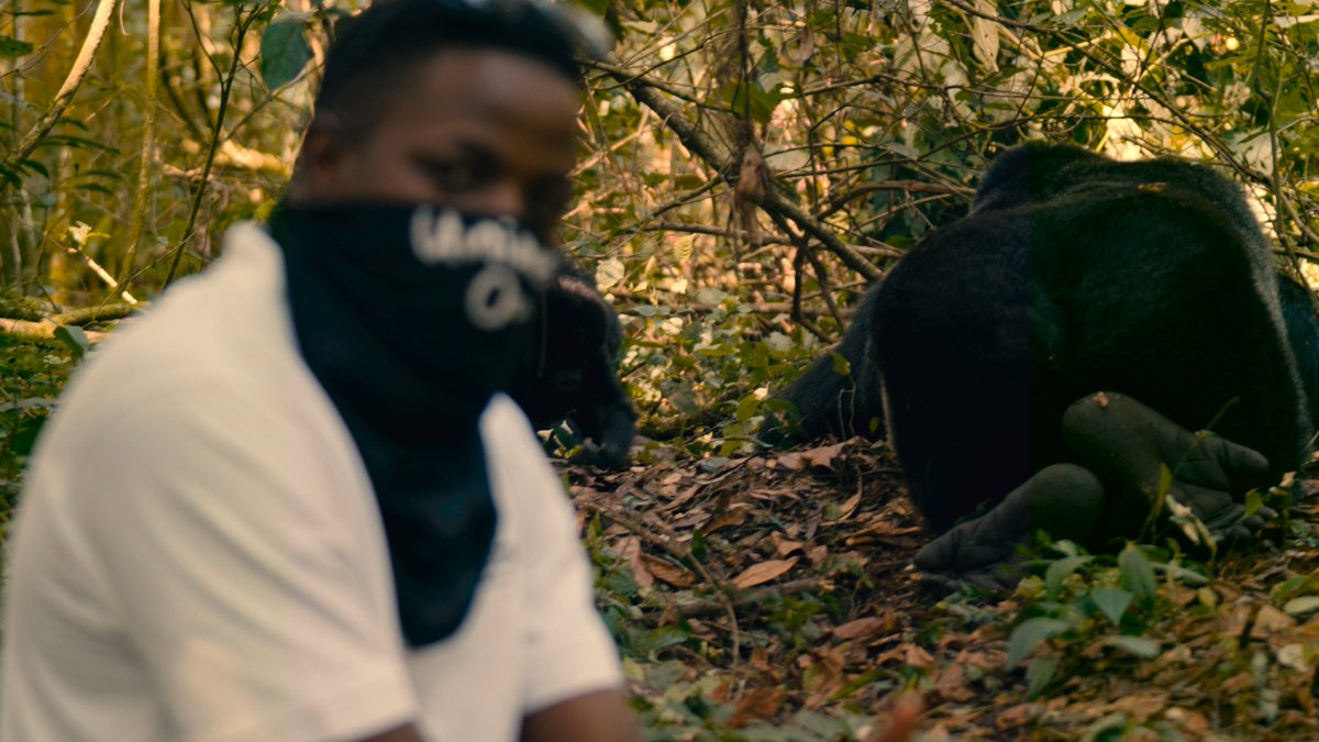 I have a feeling the gorillas look at us and think,
"Look at these confused cousins of ours..." 😂🦍

Honestly, the way they observe you and study you, it’s humbling🙌

If you ever get the chance, go see them, It’s a feeling you’ll never forget.