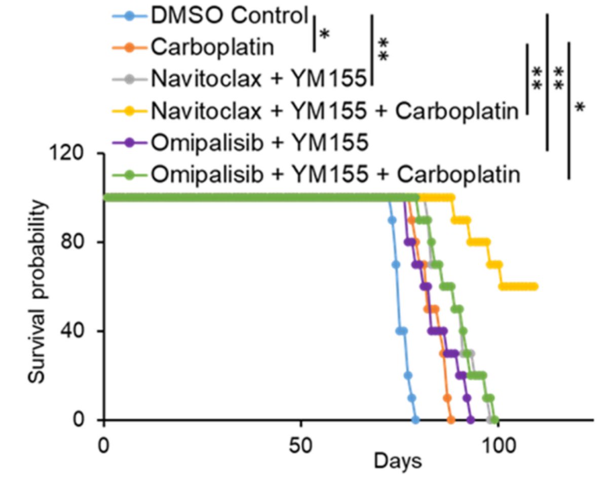 Online now! Simultaneous publication with an #AACR25 poster: Navitoclax, a Bcl-2/xL inhibitor, and YM155, a Survivin Inhibitor, in Combination with Carboplatin, Effectively Inhibit Ovarian Cancer Tumor Growth: doi.org/10.1158/1535-7…
<a href="/AACR/">AACR</a>