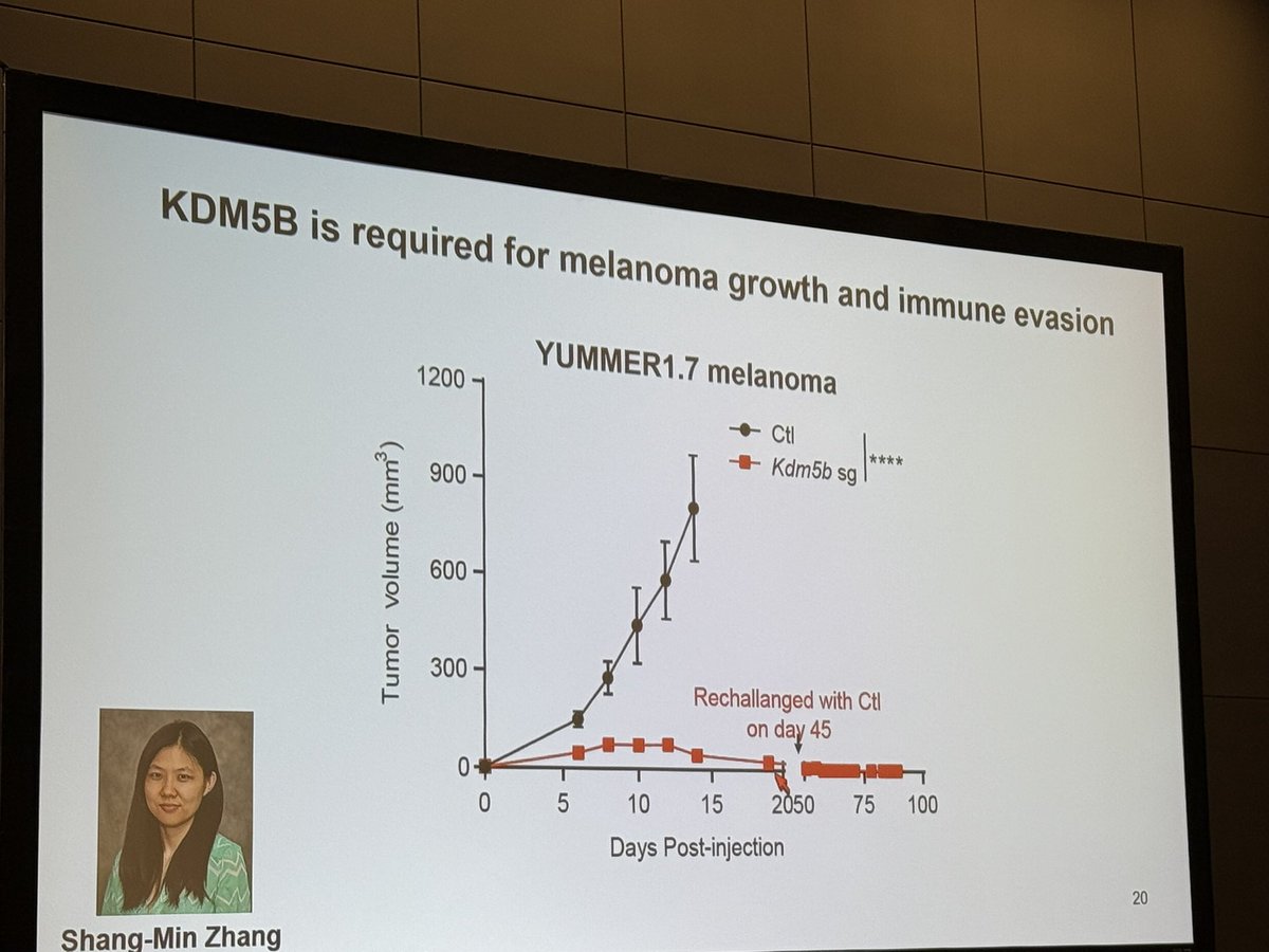 .<a href="/QinYan1/">Qin Yan, PhD</a> moderates a symposium on the #epigenetic control of immune invasion in tumors #AACR25 and illustrates the theme by describing his lab’s research on KDM5A/B as specific targets for cancer treatment. <a href="/yalepathology/">Yale Pathology</a> <a href="/AACR/">AACR</a> <a href="/SmilowCancer/">Smilow Cancer Hospital</a> <a href="/OncoAlert/">OncoAlert</a>