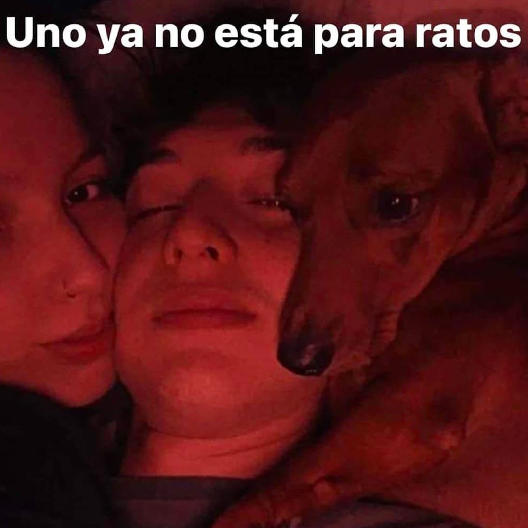 tom (@tomiezequiel15) on Twitter photo 