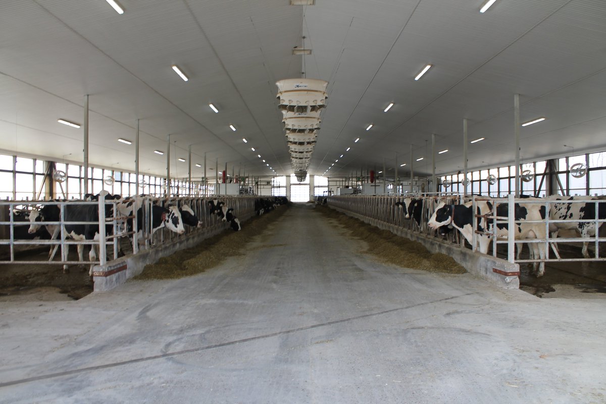ClaireMc_C's tweet photo. It was a privilege to hear the emigration stories of 1st- &amp; 2nd-generation European dairy farmers (Dutch) whose hard work &amp; determination led them to thrive within Ontario's major farm sector. Thanks to
@PeteOverdevest, @kellydaynard, @VeldaleFarms, @FarmFoodCareON @SjoerdHofstee https://t.co/OQRPS7ZmKB