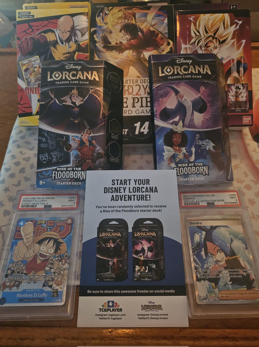 So Tcgplayer &amp; Lorcana sent me 2 starter decks. I decided it would be a great time to do a giveaway. I had a few extra starter decks laying around. Think of it as an "Intro to TCGs" Giveaway! Includes the 2 slabs and the playmat.. RT, Follow, Like to enter! Drawing 5/24/25.