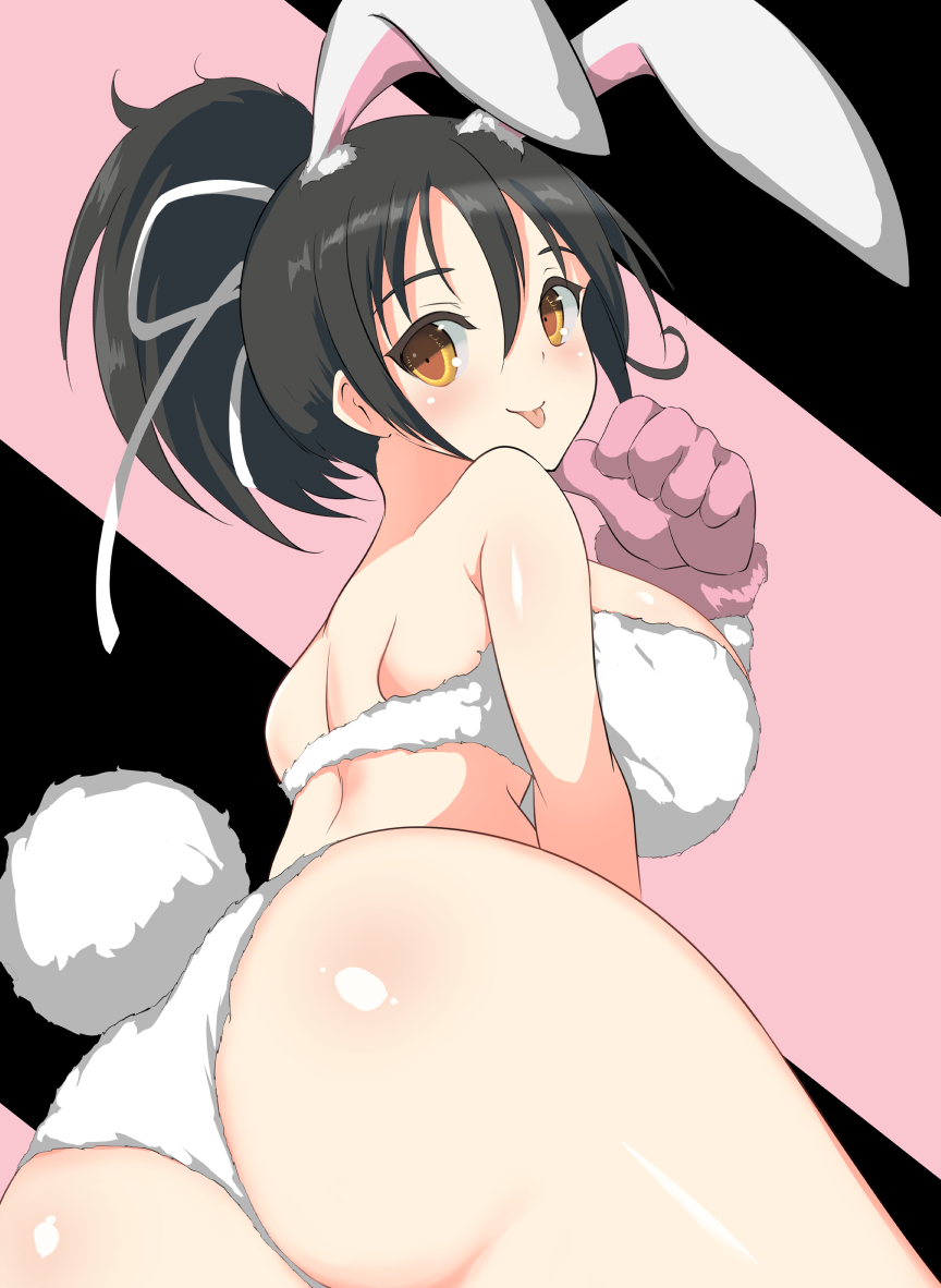 閃乱カグラより、飛鳥(兎バージョン)描いてみました