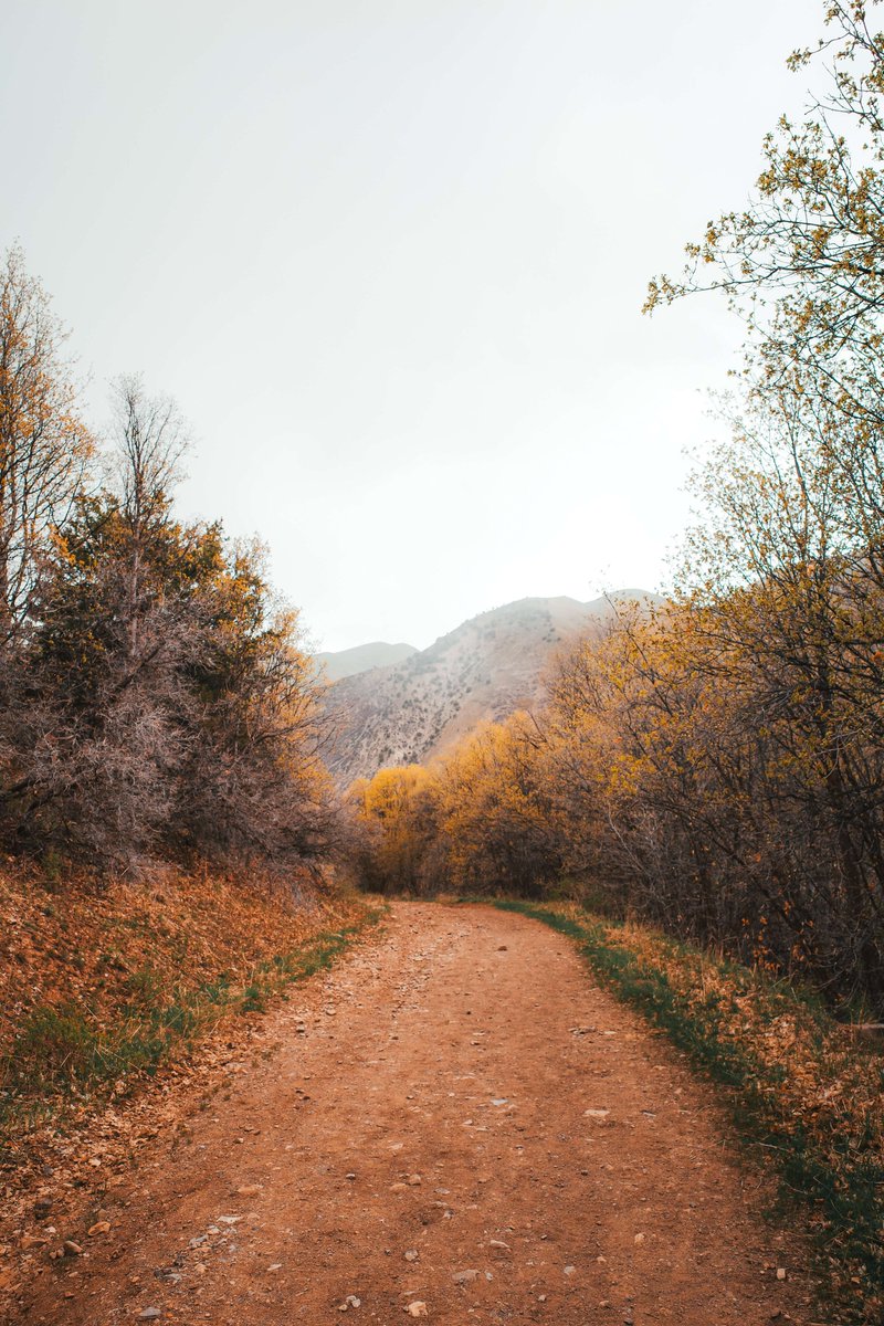 hiimsky_'s tweet photo. crazy week with friends visiting, went on a hike and took some gorgeous photos of this stupid but amazing🌎 https://t.co/EJOJL0hkBB
