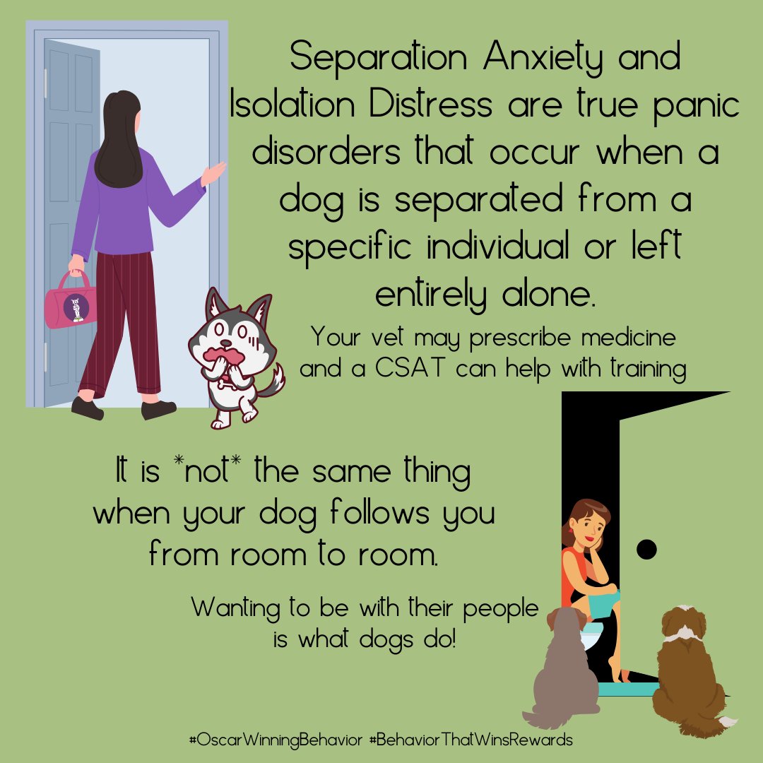 OscarWinning's tweet image. It&apos;s not spite, it&apos;s not manipulation, it&apos;s not clinginess, and it&apos;s not spoiled dog behavior.

It is something we can help you through.

oscarwinningbehavior.com/separationanxi…

#OscarWinningBehavior #HomeAlone #BehaviorThatWinsRewards #SeparationAnxiety