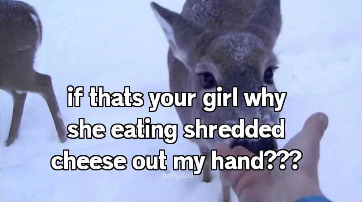 deershouldnt's tweet photo. https://t.co/HybcgrN8sh