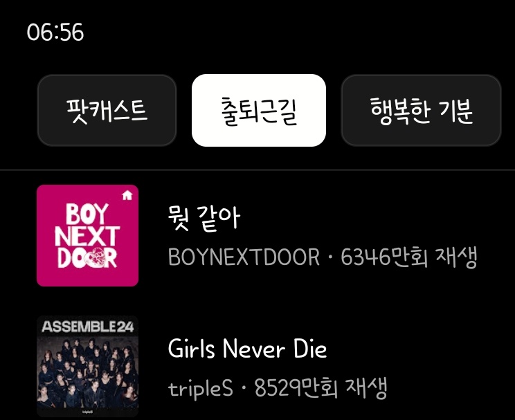짠거같다 출퇴근길 뭣 같아 Girls never die