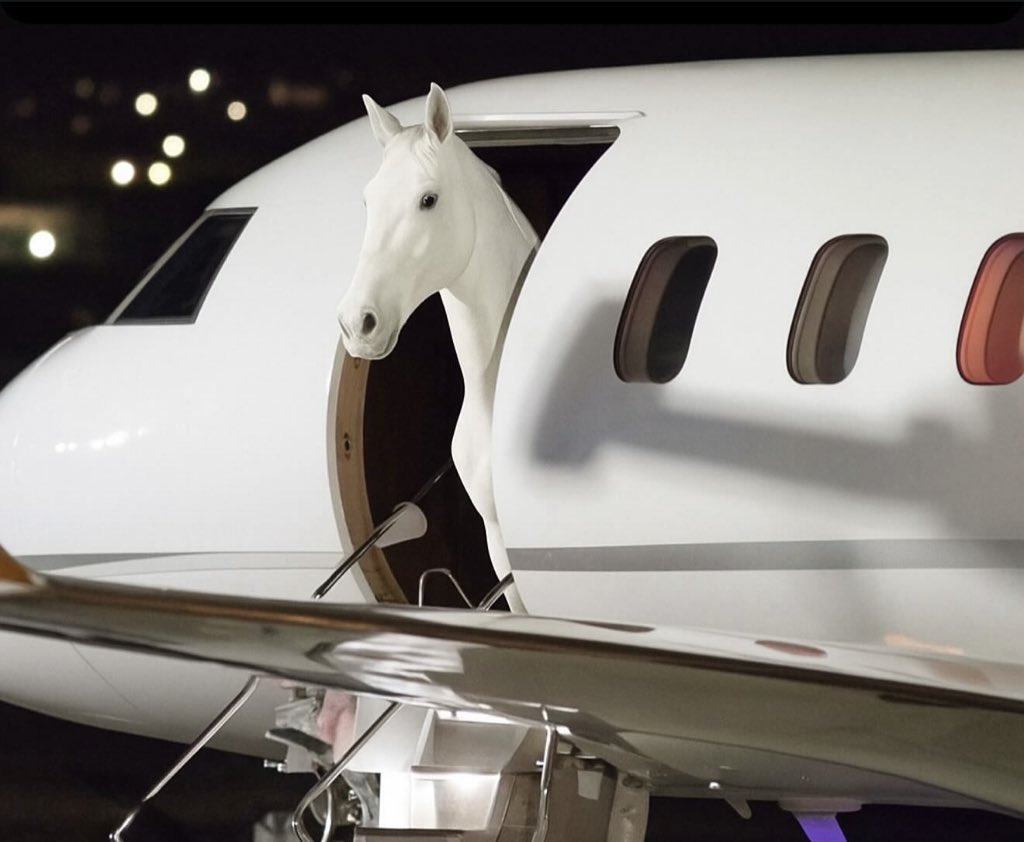 chelseasandrax's tweet image. Chardonneigh has arrived!