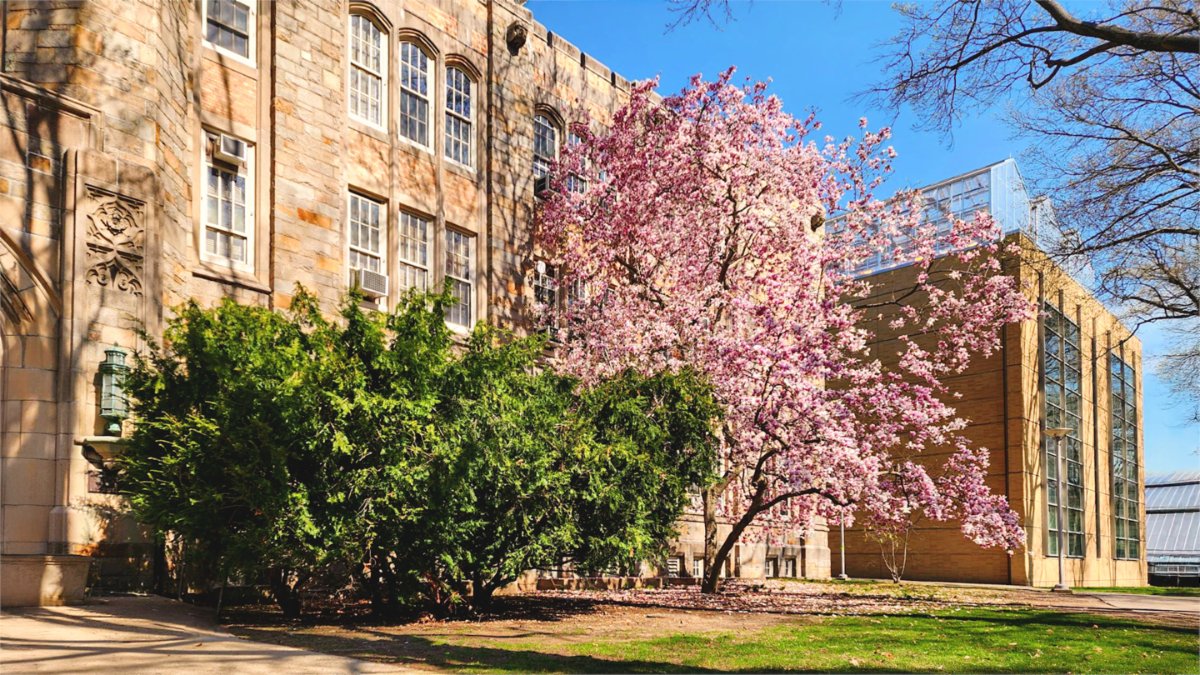 The Carnegie Classification of Institutions of Higher Education named Lehman to the nationwide list of Opportunity Colleges and Universities. 🏆👏 ow.ly/cGSm50VJg07