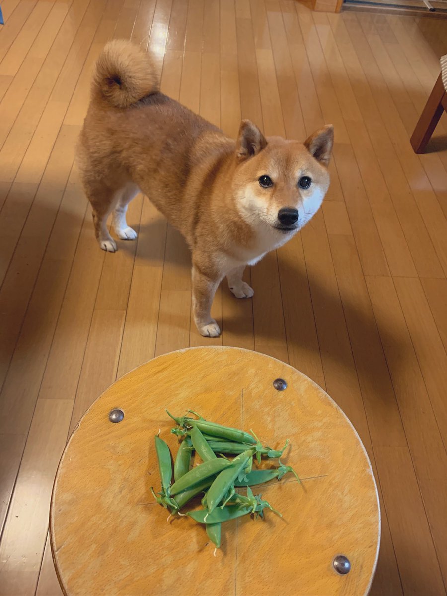 おはようございます