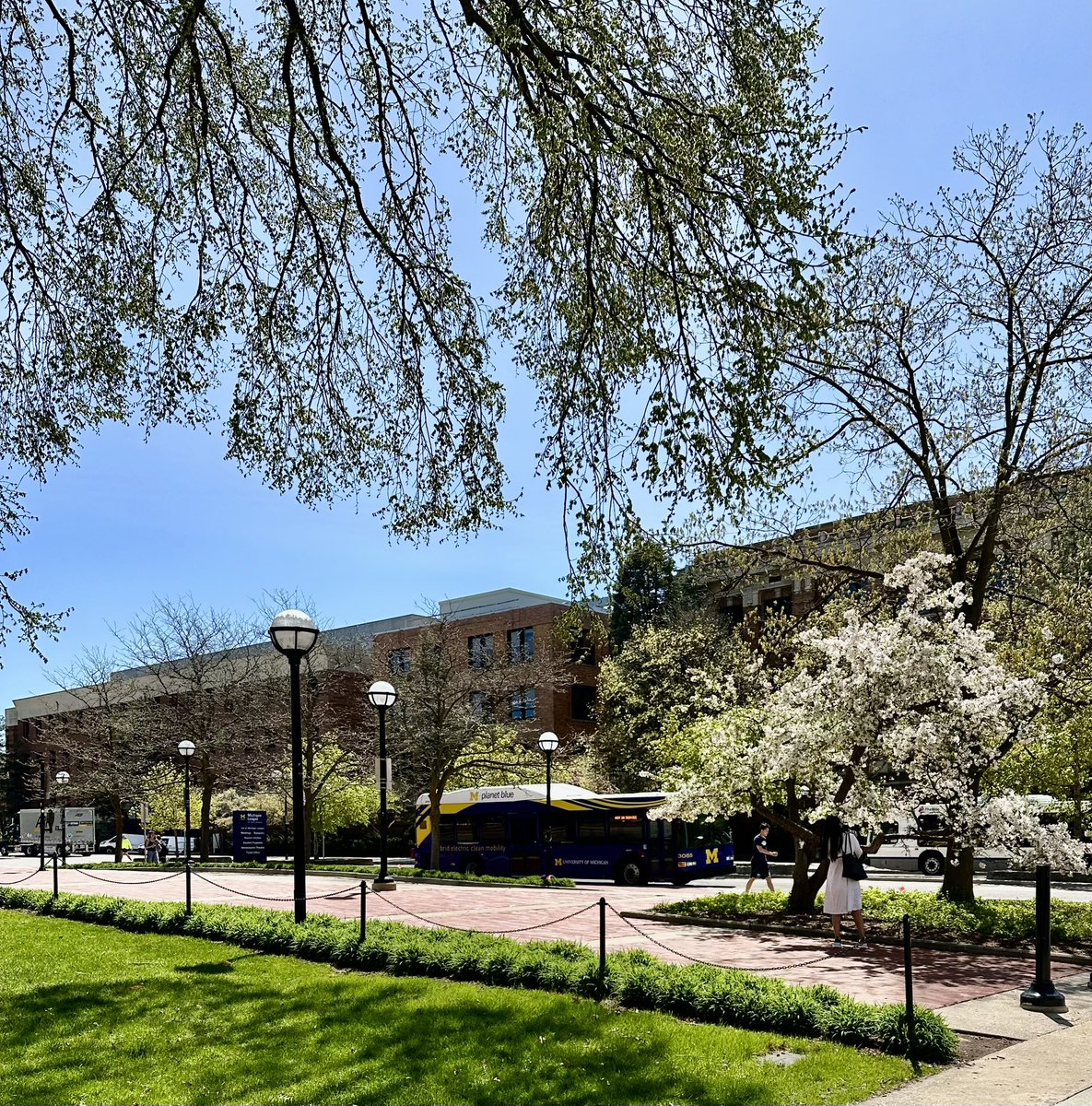 umichcampusinfo's tweet photo. In A2 for graduation festivities? 🎓 Park your car and use M Blue Bus for free. 🚐 #goodinfo #GoBlue
https://t.co/qcmLQqt7BK https://t.co/SQMUTTJXHS