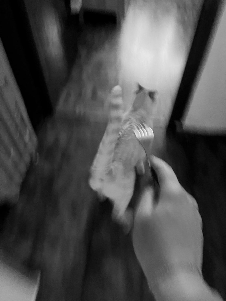 10 horas sem eletricidade:

a comida começa a escassear