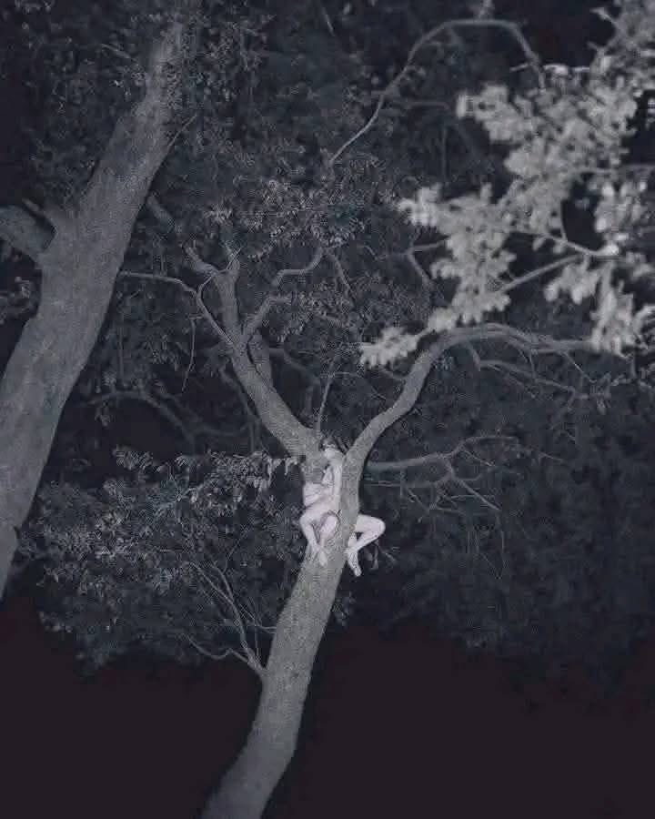 Cuando se quiere, se puede 😉