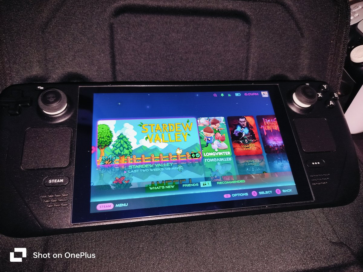 87Redd's tweet image. Added more customization to the #steamdeck I didn&apos;t know you can enable 2 themes at once... I got the pipboy running green... And the outrun cyberpunk theme running at the same time...! 🫡💯 #deckyloader