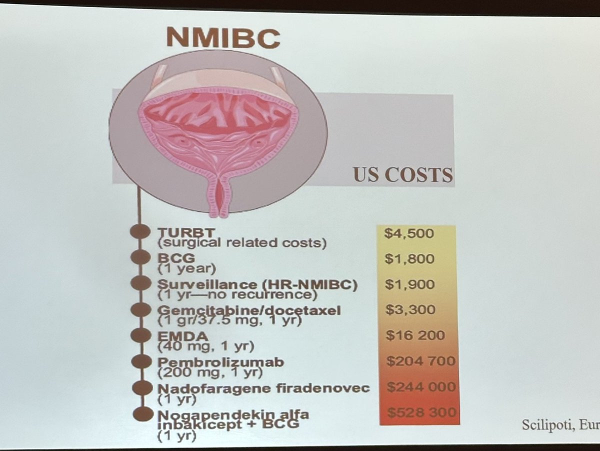 Amanda Myers (@amandamyersmd) on Twitter photo <a href="/UroDocAsh/">Ashish M. Kamat, MD, MBBS</a> <a href="/AmerUrological/">Amer. Urol. Assn.</a> <a href="/pcvblack/">Peter Black</a> <a href="/WesKassouf/">Wes Kassouf</a> <a href="/siadaneshmand/">Sia Daneshmand, M.D.</a> <a href="/doctorjakeuro/">Jake Taylor, MD, MPH</a> <a href="/VigneshPackiam/">Vignesh Packiam, MD</a> <a href="/MarkTysonMD/">Mark Tyson</a> <a href="/ryansteinbergmd/">Ryan L. Steinberg MD</a> <a href="/WesKassouf/">Wes Kassouf</a> Strong rationale and prospective data for NAI-BCG but we need to make more accessible worldwide
#AUA25
<a href="/MRoupret/">Morgan Roupret</a> <a href="/BogdanaSchmidt/">Bogdana Schmidt MD, MPH</a> <a href="/drtanws/">Wei Shen Tan</a> <a href="/AmerUrological/">Amer. Urol. Assn.</a> <a href="/urogeek/">Dave Penson</a> <a href="/UroDocAsh/">Ashish M. Kamat, MD, MBBS</a> <a href="/AmerUrological/">Amer. Urol. Assn.</a> <a href="/pcvblack/">Peter Black</a> <a href="/WesKassouf/">Wes Kassouf</a> <a href="/siadaneshmand/">Sia Daneshmand, M.D.</a> <a href="/doctorjakeuro/">Jake Taylor, MD, MPH</a> <a href="/VigneshPackiam/">Vignesh Packiam, MD</a> <a href="/MarkTysonMD/">Mark Tyson</a> <a href="/ryansteinbergmd/">Ryan L. Steinberg MD</a> <a href="/WesKassouf/">Wes Kassouf</a> Strong rationale and prospective data for NAI-BCG but we need to make more accessible worldwide
#AUA25
<a href="/MRoupret/">Morgan Roupret</a> <a href="/BogdanaSchmidt/">Bogdana Schmidt MD, MPH</a> <a href="/drtanws/">Wei Shen Tan</a> <a href="/AmerUrological/">Amer. Urol. Assn.</a> <a href="/urogeek/">Dave Penson</a>