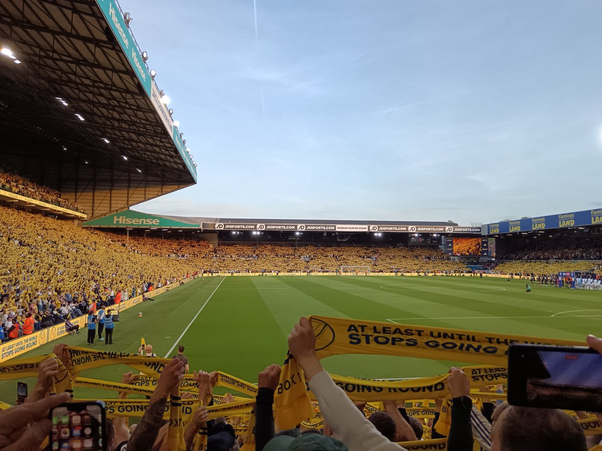 Josh_Rothwell's tweet image. 💛💛💛 #lufc