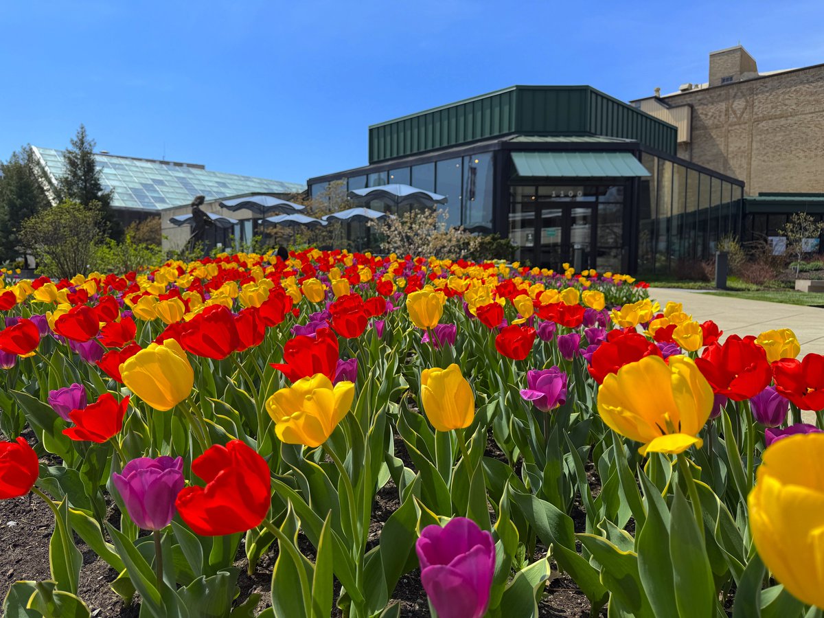 GrandWayneCC's tweet image. Downtown Fort Wayne is in bloom! Check out all of the gorgeous sights that surround the Grand Wayne Convention Center! #DTFW