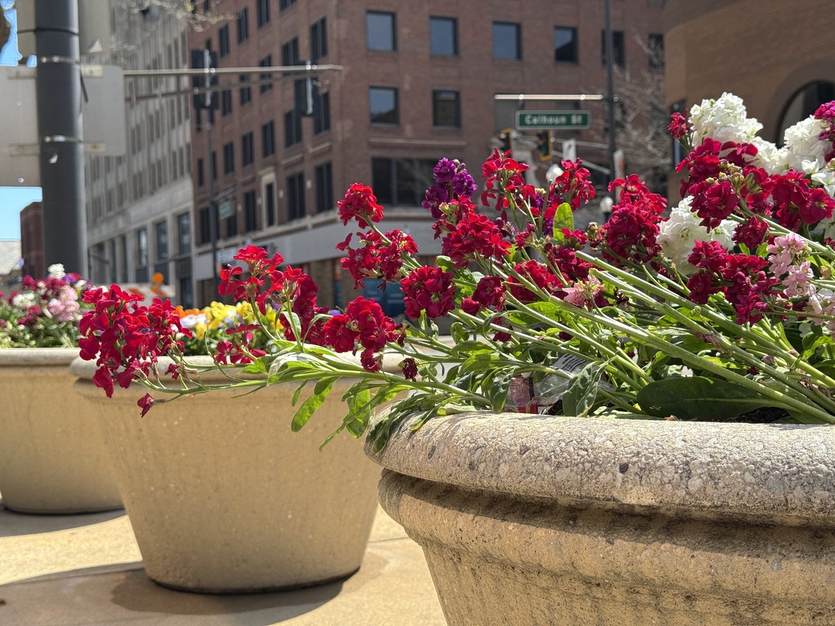 GrandWayneCC's tweet image. Downtown Fort Wayne is in bloom! Check out all of the gorgeous sights that surround the Grand Wayne Convention Center! #DTFW