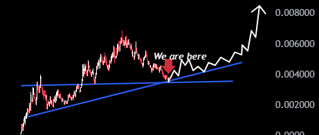 Tesla protesters stole $LEMON's dog from Tesla

$LEMON is very similar to $PNUT

Both have an interesting history and real drama heating up in society. We are watching. Personally, I see a good support zone now. You can either gain some more or wait for another deep