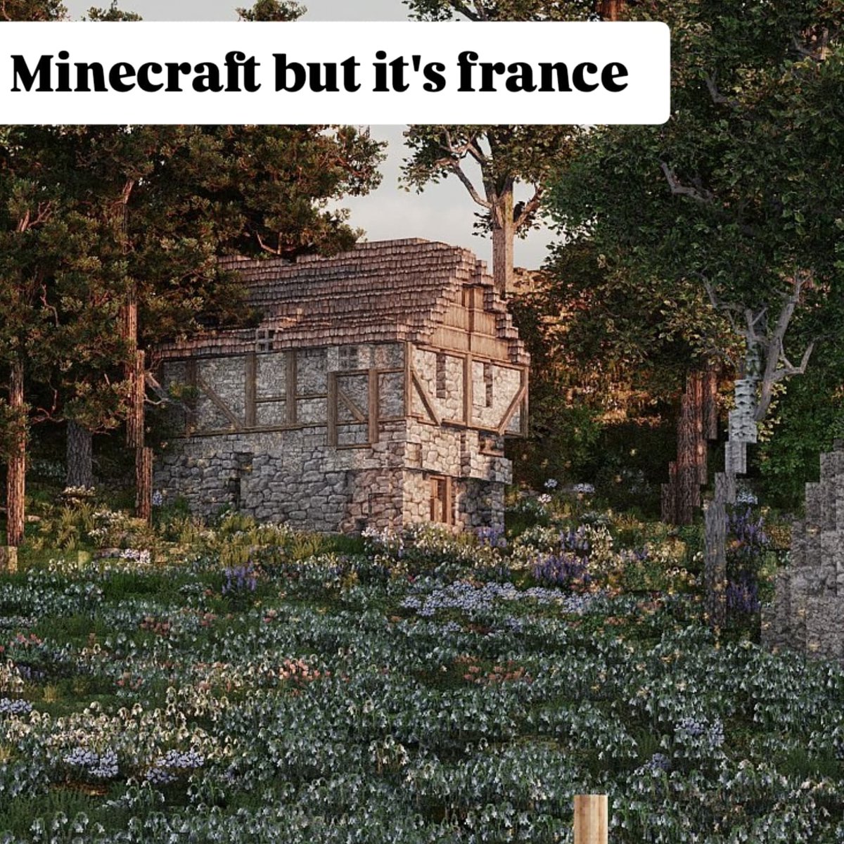 manofdutch tweet media