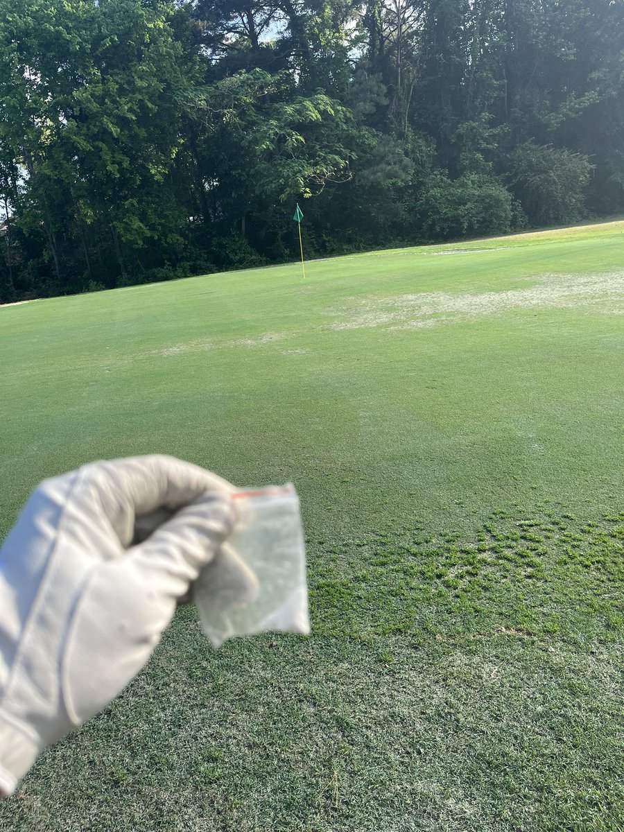 Bobby Ferdaaa tweet media