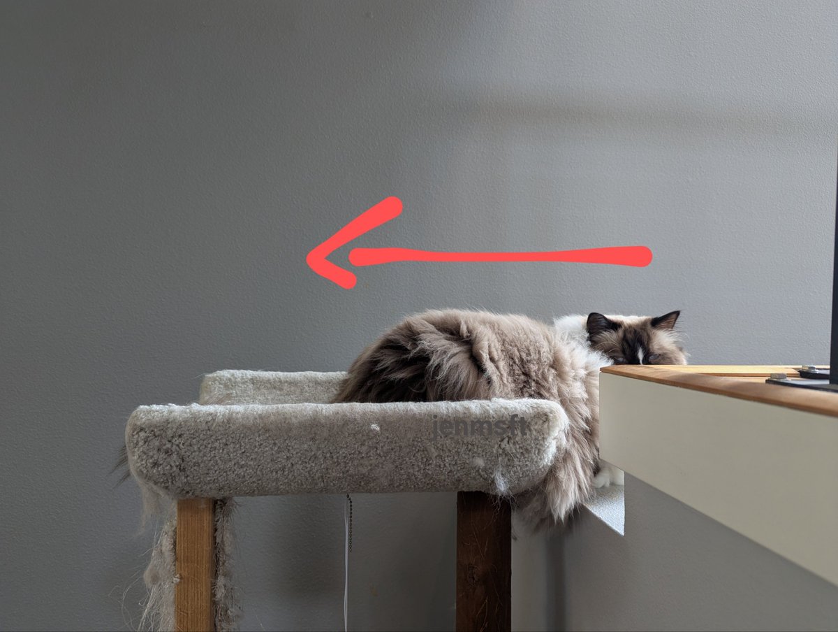 Jen Gentleman 🌺 tweet media