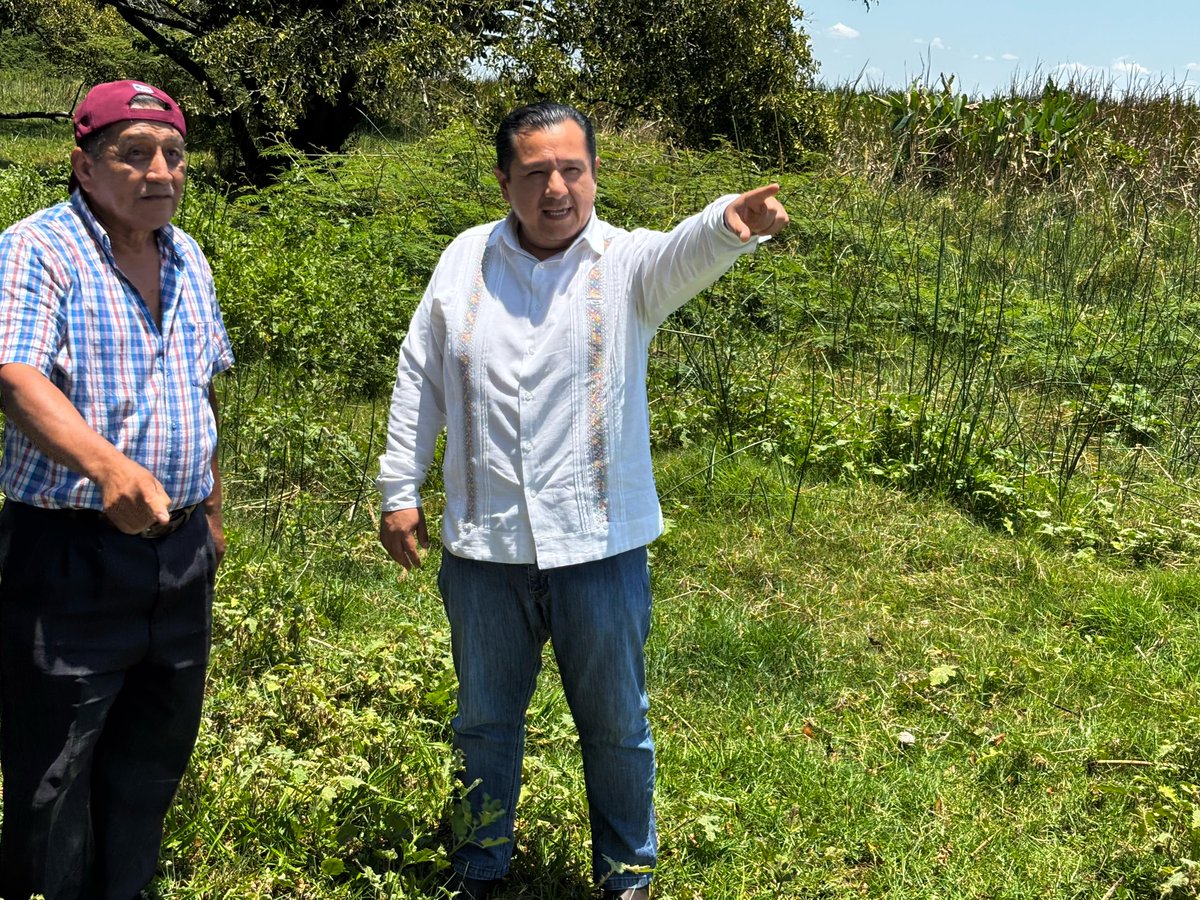 JohnnyMRegidor's tweet photo. Sostuve encuentro con productores de la zona Yokotan del Ejido “José G. Asmitia”. Acompañado de la directora de Asuntos Indígenas del ayuntamiento de Centro Lucero Hipólito Hernández, realizamos recorrido de supervisión en el que recibimos peticiones a las que daremos seguimiento https://t.co/9yXxkZN7tH